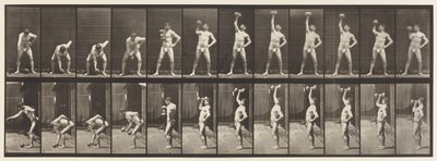 Plaque 320. Soulever un haltère de 50 lb - Eadweard Muybridge