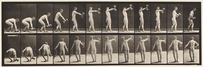 Planche 326. Soulever un haltère de 50 lb à bout de bras - Eadweard Muybridge