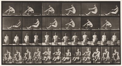 Planche 327. Aviron - Eadweard Muybridge