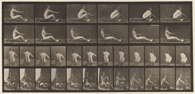 Planche 328. Aviron - Eadweard Muybridge