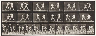 Planche 329. Boxe; (Chaussures) - Eadweard Muybridge
