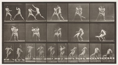 Planche 331. Boxe; Arrêt pour crochets - Eadweard Muybridge