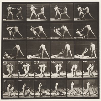 Planche 333. Boxe; 53 frappant 52 à terre (Chaussures) - Eadweard Muybridge