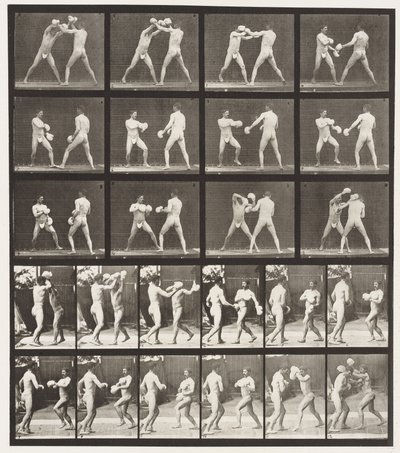 Planche 334. Boxe; avec gants (chaussures) - Eadweard Muybridge