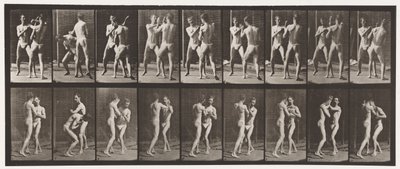 Planche 337. Boxe; Main ouverte - Eadweard Muybridge