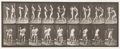 Planche 339. Boxe; Main ouverte - Eadweard Muybridge