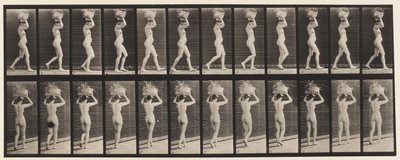 Planche 33. Marche, panier de 14 lb sur la tête, mains levées, 1872-1885 - Eadweard Muybridge