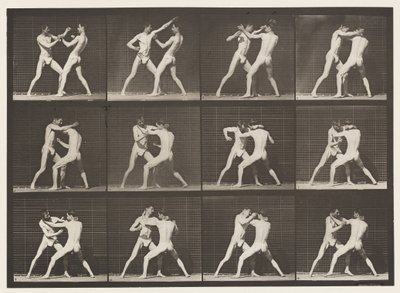 Plaque 340. Boxe; main ouverte - Eadweard Muybridge