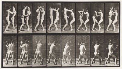 Planche 341. Boxe; Main ouverte - Eadweard Muybridge