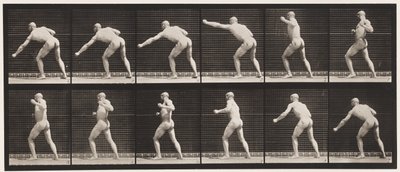 Planche 343. Porter un coup (main gauche) - Eadweard Muybridge