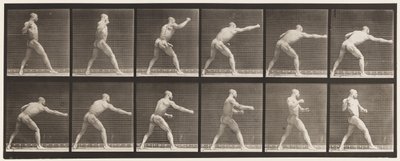 Planche 344. Donner un coup (main droite) - Eadweard Muybridge