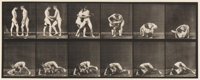 Lutte, Verrouillage, 1885 - Eadweard Muybridge