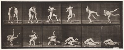 Planche 347. Lutte gréco-romaine, 1885 - Eadweard Muybridge