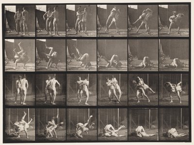 Planche 348. Lutte gréco-romaine, 1885 - Eadweard Muybridge