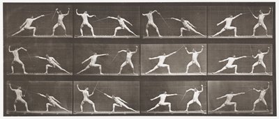 Planche 349. Escrime - Eadweard Muybridge