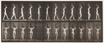 Planche 34. Marcher - Eadweard Muybridge