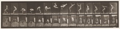 Planche 362. Saut périlleux arrière - Eadweard Muybridge