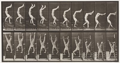 Acrobate, descendre les escaliers sur les mains - Eadweard Muybridge