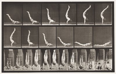 Planche 372. Acrobate, pression horizontale - Eadweard Muybridge