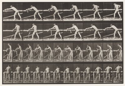 Charpentier, rabotant une planche - Eadweard Muybridge