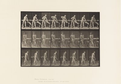 Charpentier, Scier, 1872-1885 - Eadweard Muybridge