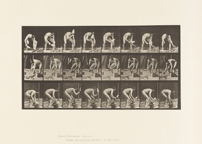 Plaque 381. Maçon, posant une brique - Eadweard Muybridge