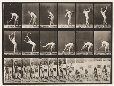Planche 385. Fermier, utilisant une pioche, 1872-1885 - Eadweard Muybridge