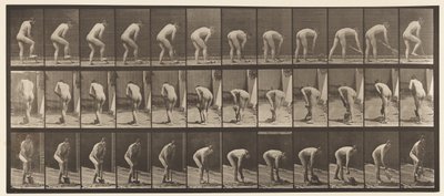 Planche 388. Fermier, utilisant une bêche, 1872-1885 - Eadweard Muybridge