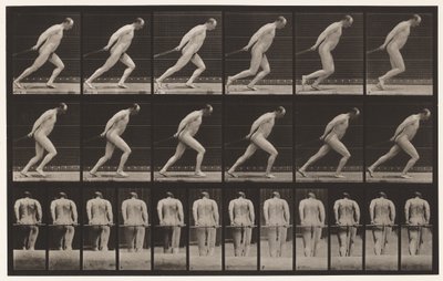 Planche 392. Traîner un rouleau de jardin, 1872-1885 - Eadweard Muybridge