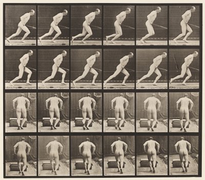 Pousser un Rouleau de Jardin, 1872-1885 - Eadweard Muybridge