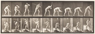 Planche 396. Frapper avec un maillet - Eadweard Muybridge