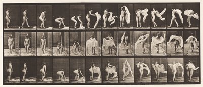 Planche 419. Toilette, se pencher, jeter un châle autour des épaules - Eadweard Muybridge