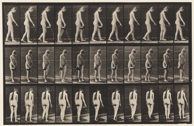 Planche 42. Marche, verser de l