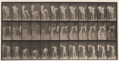 Accrocher des Vêtements sur une Corde, 1872-1885 - Eadweard Muybridge