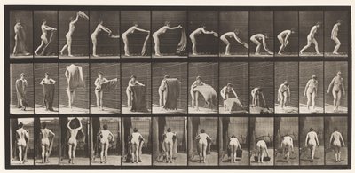 Planche 439. Étendre un tapis sur le sol - Eadweard Muybridge