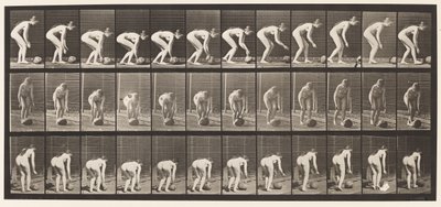 Planche 442. Se pencher et rouler une pierre par terre - Eadweard Muybridge