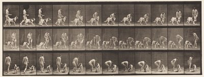 Nourrir un chien - Eadweard Muybridge