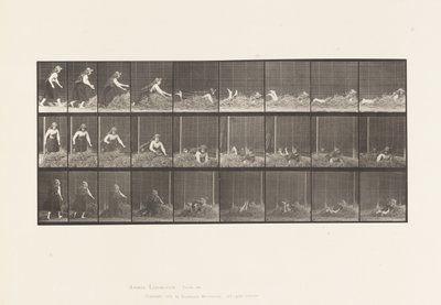 Planche 455. Se jetant sur un tas de foin - Eadweard Muybridge