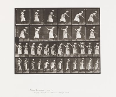 Râteler le foin - Eadweard Muybridge