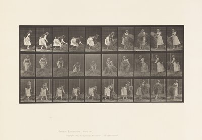 Planche 458. Ramassant des poignées de foin, tournant, les jetant - Eadweard Muybridge