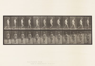 Planche 467. Enfant, marche - Eadweard Muybridge