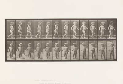 Planche 468. Enfant, marchant - Eadweard Muybridge