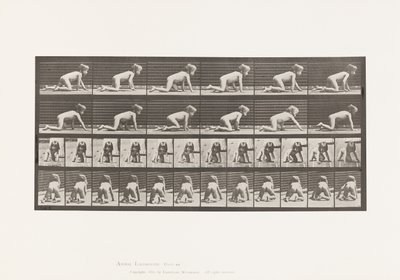 Planche 471. Enfant, rampant sur les mains et les genoux, 1885 - Eadweard Muybridge