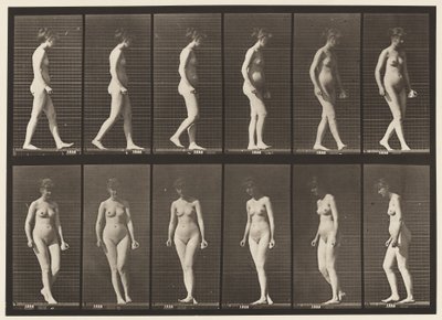 Planche 47. Marcher, et se retourner - Eadweard Muybridge