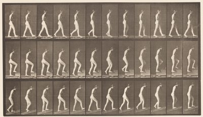 A, Marcher; B, Monter les Escaliers; C, Monter une Pente, 1872-1885 - Eadweard Muybridge