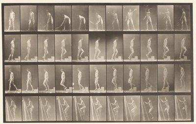Planche 486. A, Tennis sur gazon; B, Monter une marche, 1872-1885 - Eadweard Muybridge