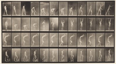 Planche 488. A, Tennis sur gazon; B, Haltères; C, Marche sur les mains, 1872-1885 - Eadweard Muybridge