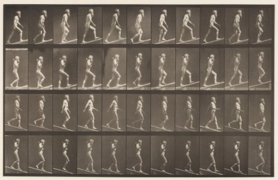 Planche 489. A, montée inclinée, 1872-1885 - Eadweard Muybridge