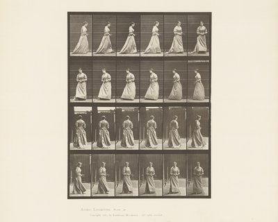Marcher et Se Retourner, Bouquet dans les Deux Mains, 1885 - Eadweard Muybridge