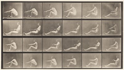Planche 492. A - Eadweard Muybridge